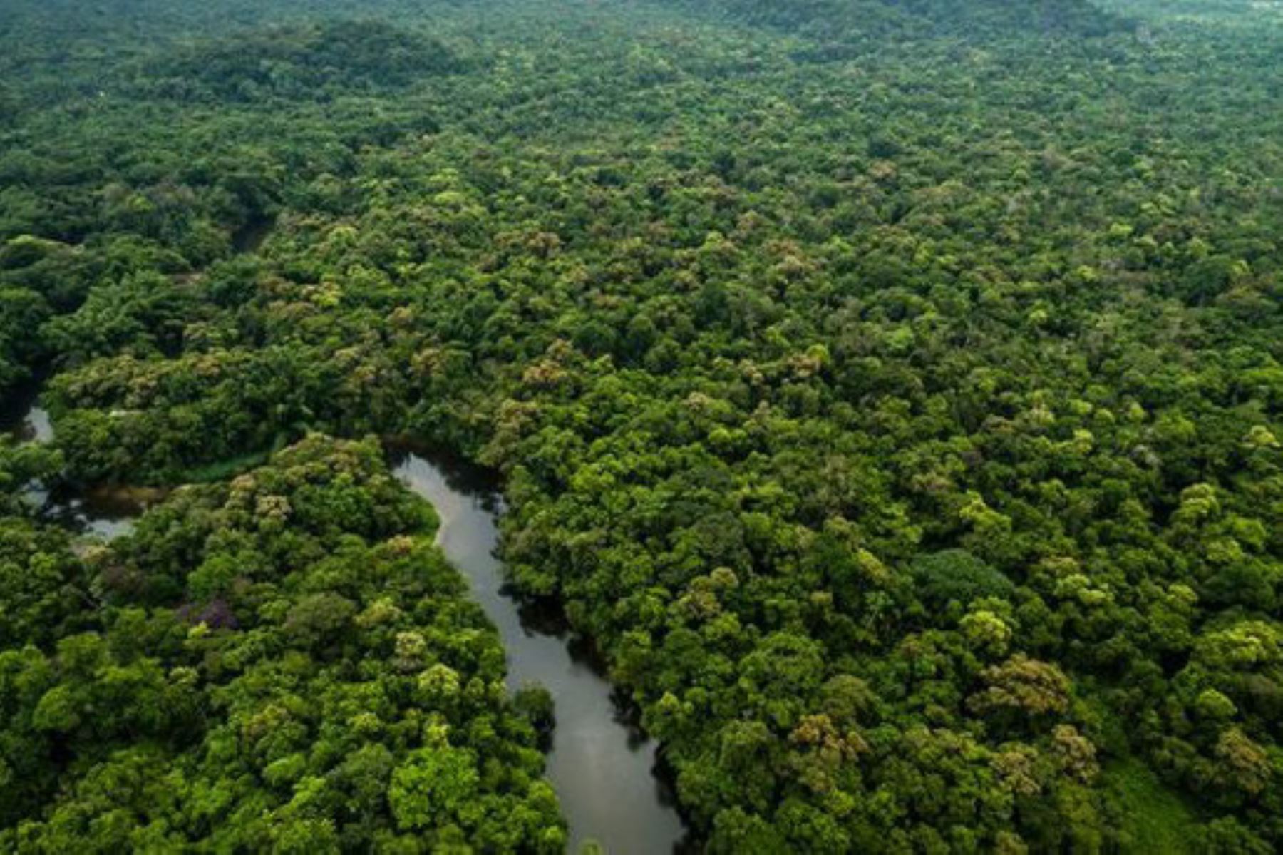 Selva Amazonica
