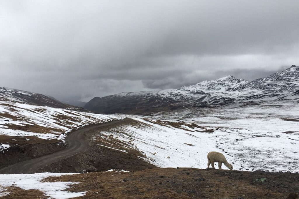 nevado-1200