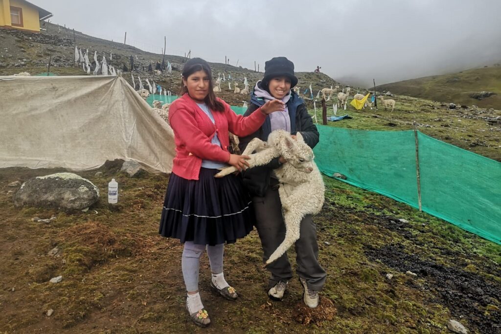 Ivette con alpaquita